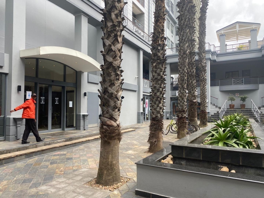 To Let 0 Bedroom Property for Rent in Cape Town City Centre Western Cape